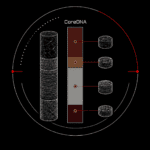 How CoreDNA works - 5 Subsample Selection