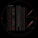 How CoreDNA works - 7 wireline
