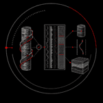 Why CoreDNA - The resulting dataset